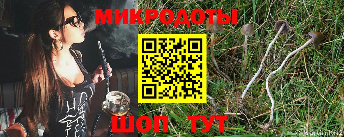 Псилоцибиновые грибы MAGIC MUSHROOMS  Вход с VPN  Гулькевичи  Галлюциногенные грибы ЛСД 