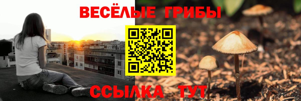 Псилоцибиновые грибы ЛСД Гулькевичи